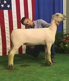 A & M Ranch Winners