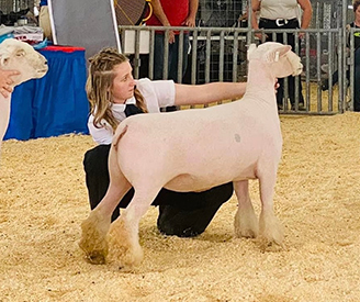 A&M Ranch Customer Success