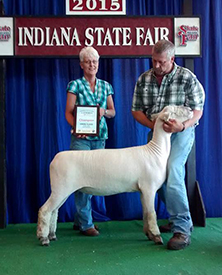 A & M Ranch Winners