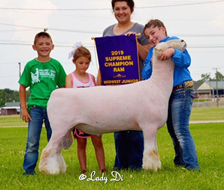 A & M Ranch Winners