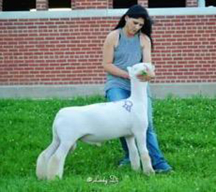 A & M Ranch Winners