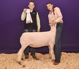 A & M Ranch Winners