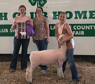 A & M Ranch Winners