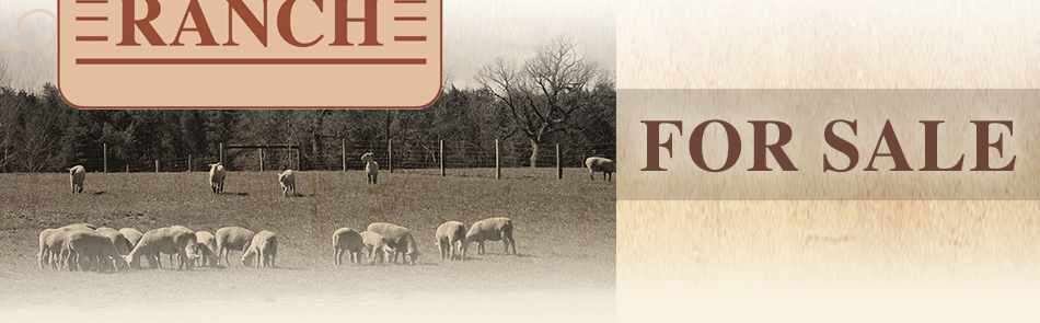 A&M Ranch - For Sale