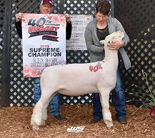 A & M Ranch Winners