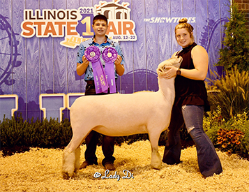 A & M Ranch Winners