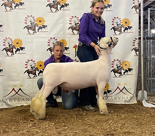 A & M Ranch Winners