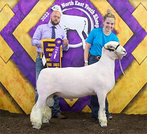 A&M Ranch Customer Success