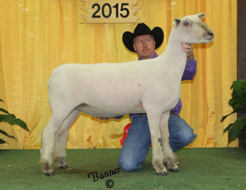 A & M Ranch Winners