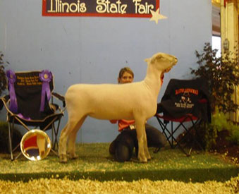 A &M Ranch Winners