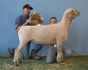 A & M Ranch Winners