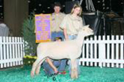 A & M Ranch Winners