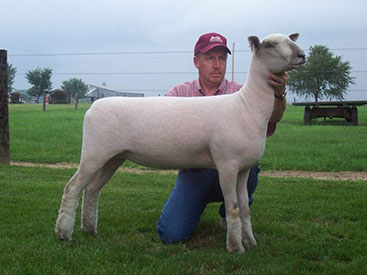 A & M Ranch Winners
