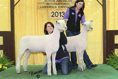 A &M Ranch Winners