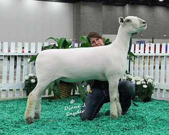 A & M Ranch Winners