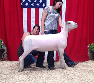 A & M Ranch Winners
