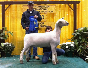 A & M Ranch Winners
