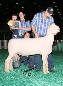 A & M Ranch Reference Sires