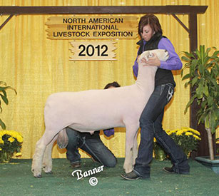 A &M Ranch Winners