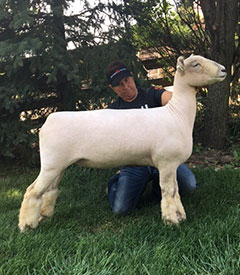 A & M Ranch Winners