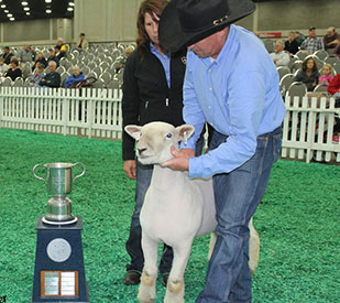 A & M Ranch Winners