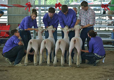 A& M Ranch Winners