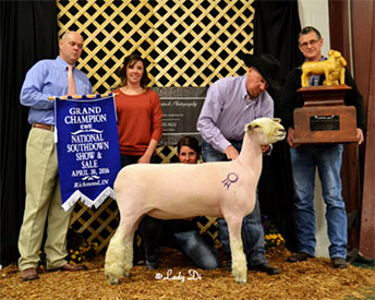 A & M Ranch Winners